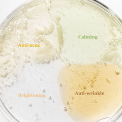 Beauty of Joseon Hanbang Serum Discovery Kit (10ml x 4)